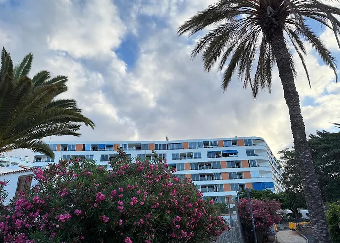 Cozy Ocean And La Gomera View 美洲海滩