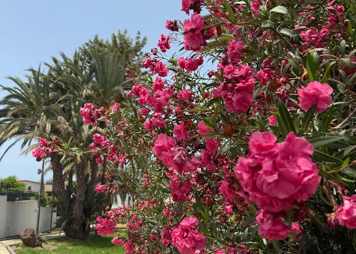 Cozy Ocean And La Gomera View