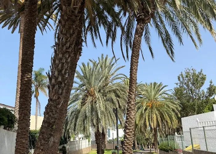 Cozy Ocean And La Gomera View 美洲海滩