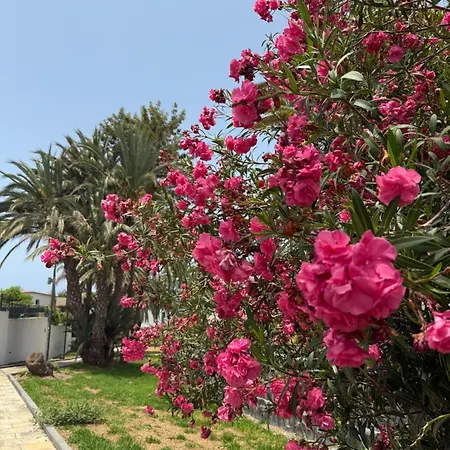 Cozy Ocean And La Gomera View